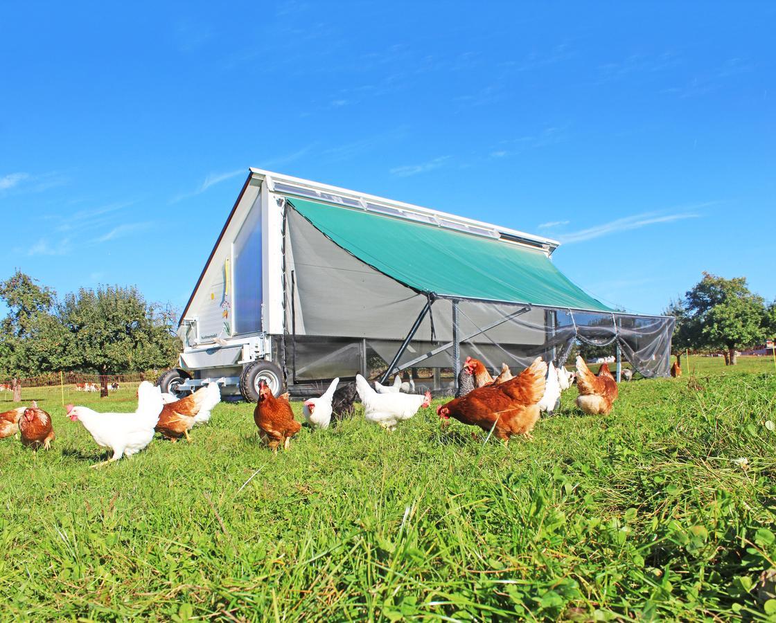 Gasthaus Zum Bauernhof Oberlunkhofen Εξωτερικό φωτογραφία